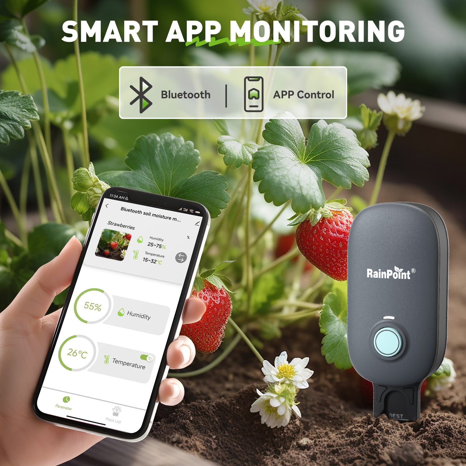 RainPoint Smart Soil & Air Temp Meter