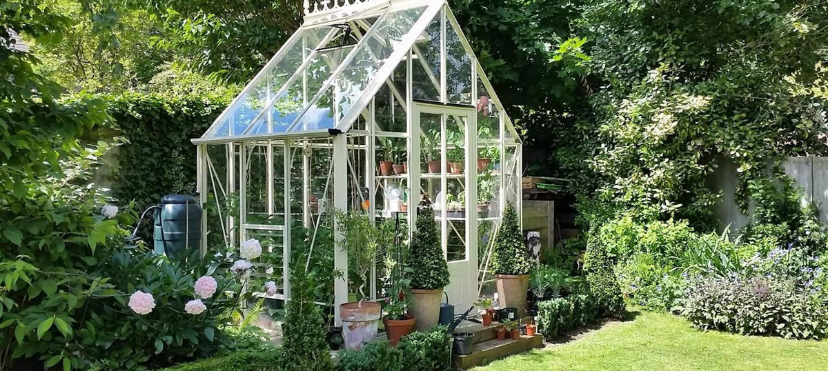Backyard greenhouse with automatic watering system for healthy plant growth