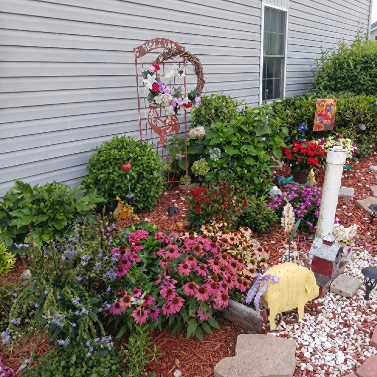 Colorful garden flowers supported by efficient plant watering solution