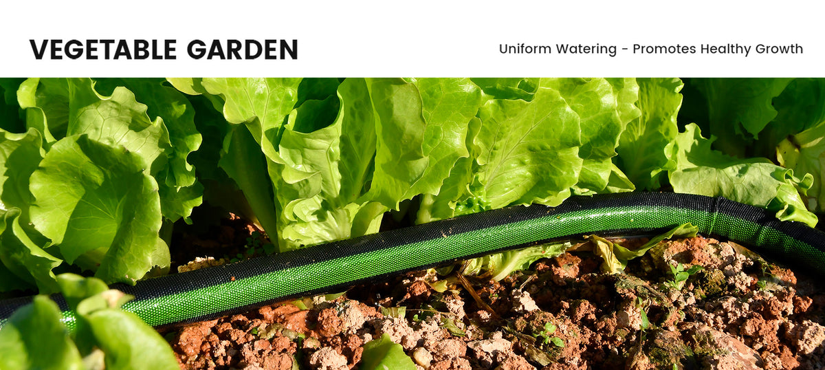 RainPoint flat garden hose providing gentle root watering for plants and flowers