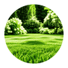 Lawn watering solution icon for garden irrigation
