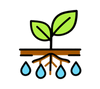 RainPoint root zone watering for efficient plant irrigation