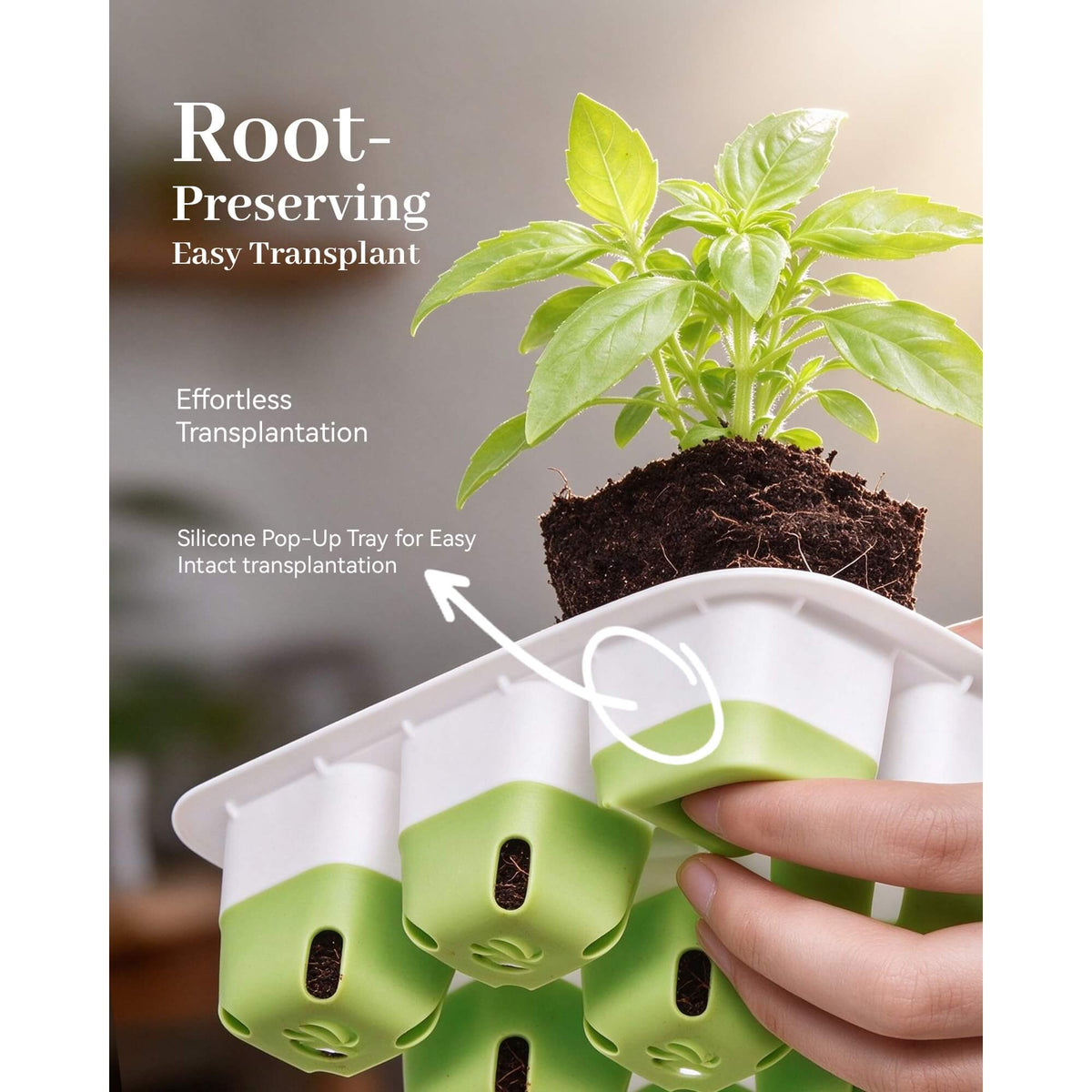 Seedling being removed from a starter tray to demonstrate root-friendly transplanting