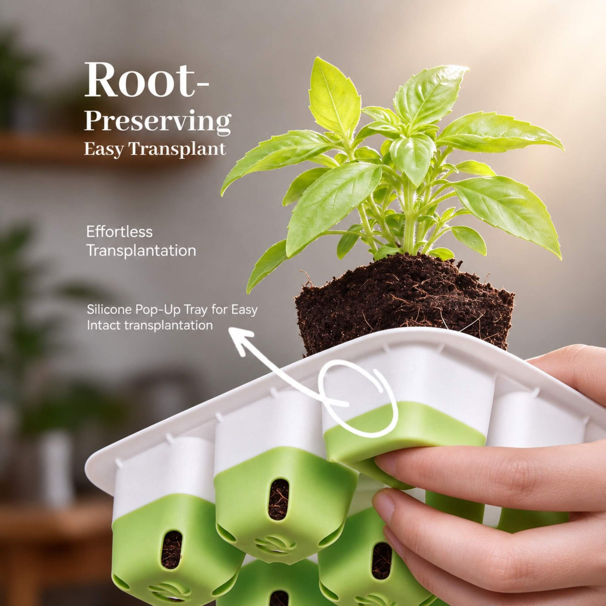 Seedling being gently removed from a starter tray to demonstrate root-friendly transplanting