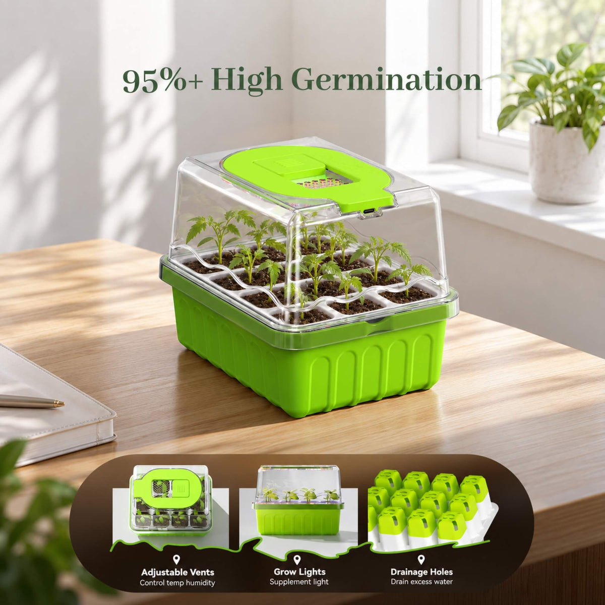 RainPoint seed starter tray containing young seedlings growing under a clear humidity dome