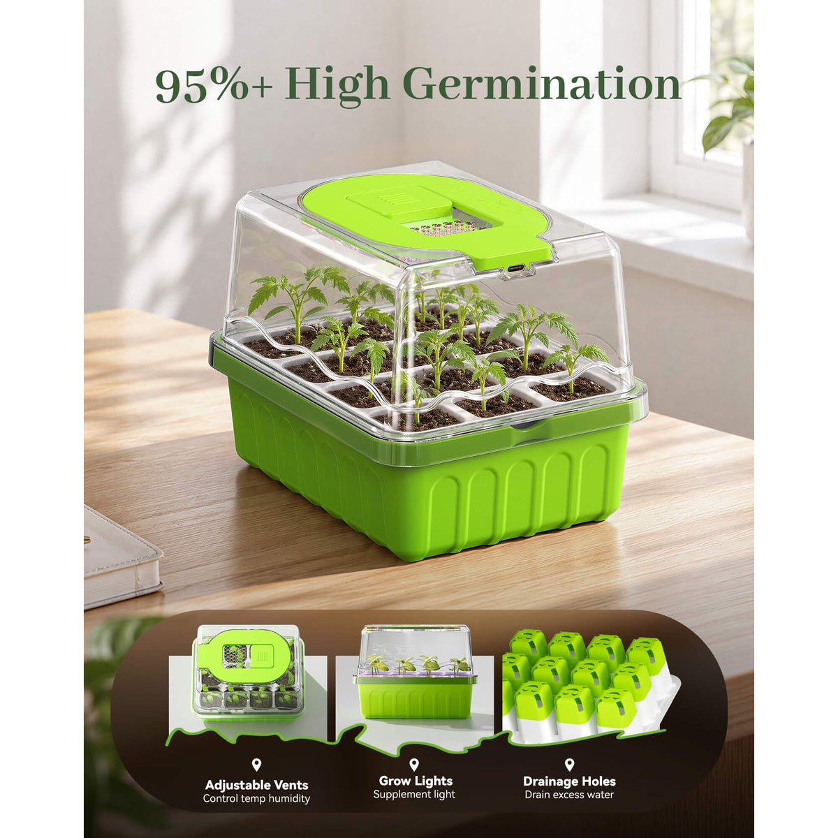 RainPoint seed starter tray for starting seeds and growing healthy seedlings