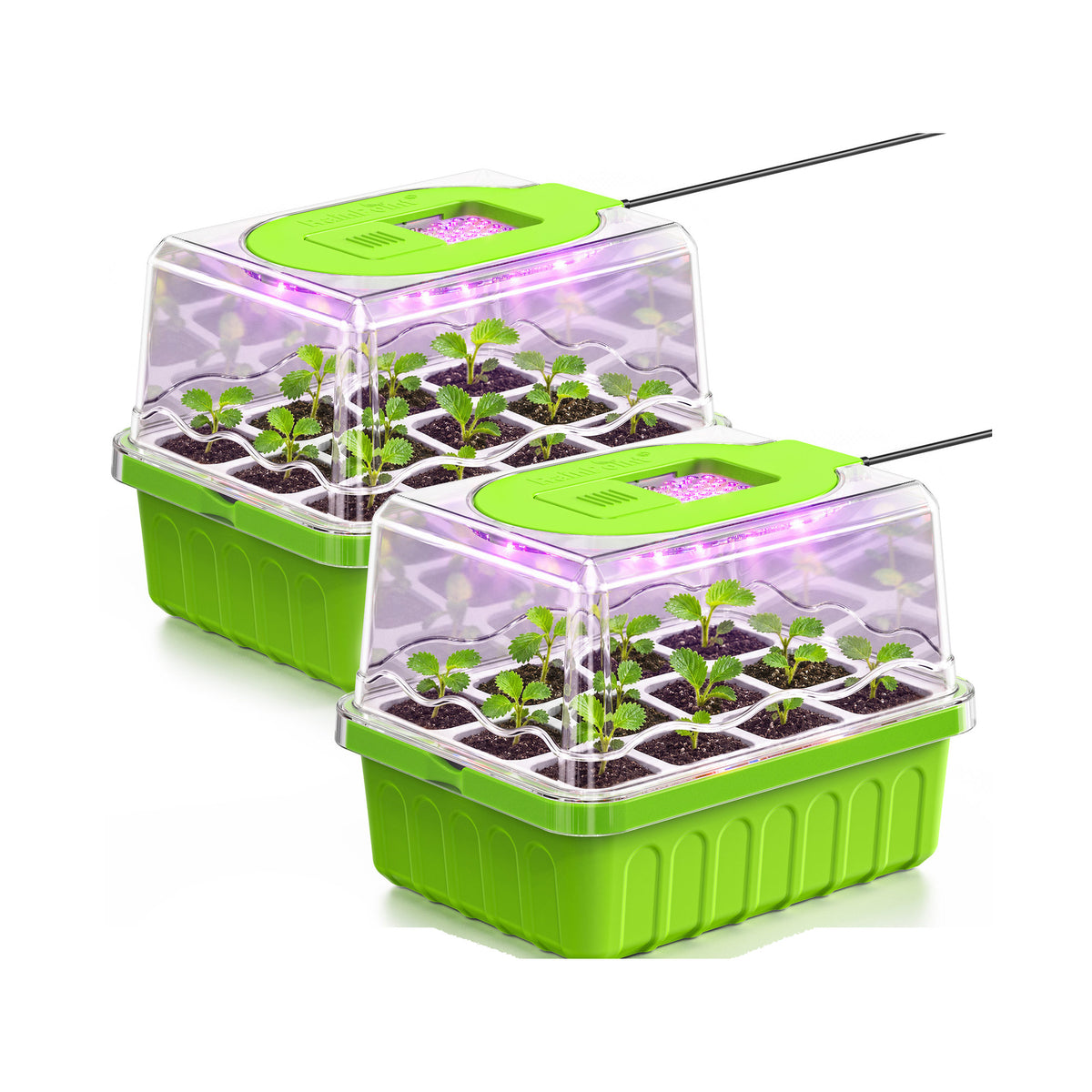 RainPoint seed starter tray with clear humidity domes for starting seedlings indoors