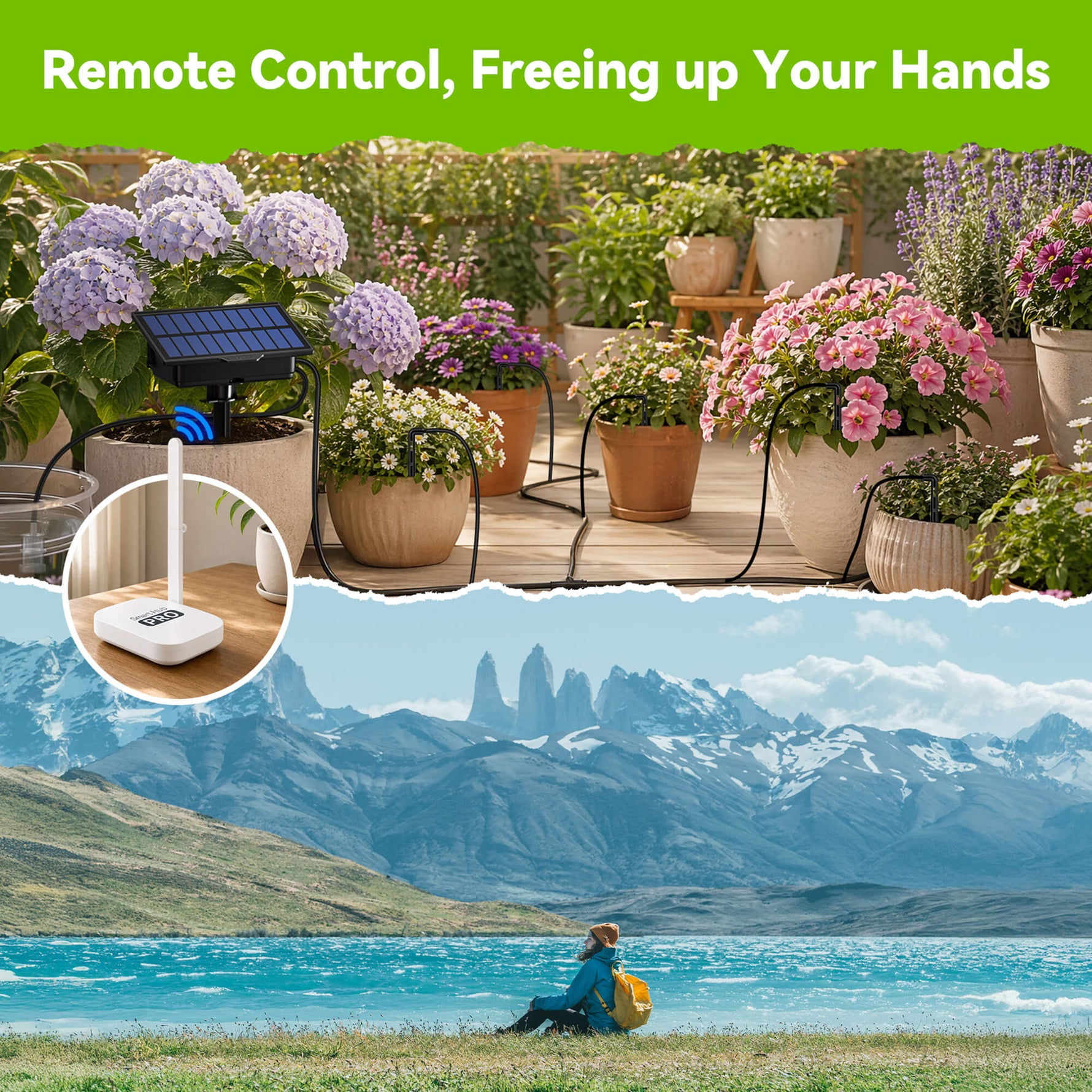 RainPoint automatic irrigation system providing precise plant watering solution