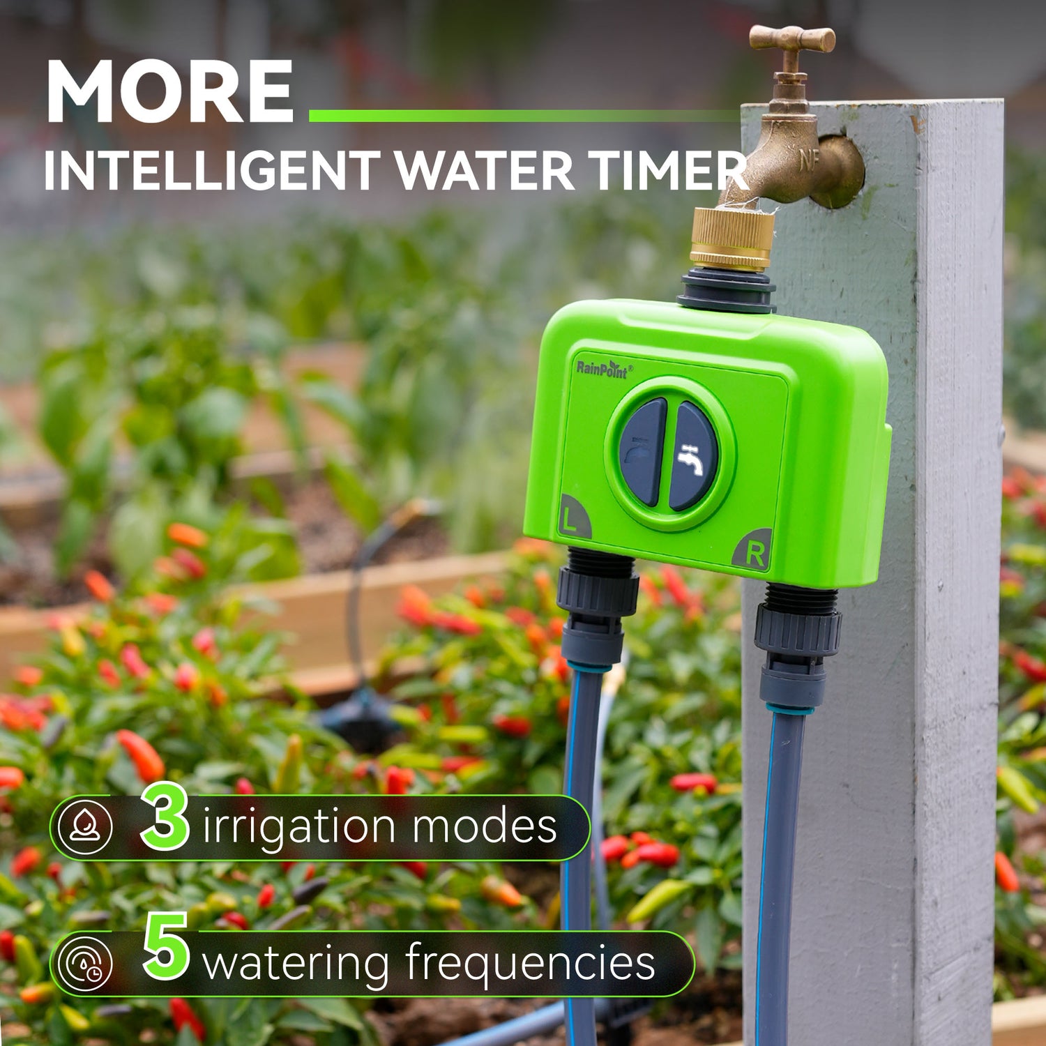 RainPoint WiFi Sprinkler Timer with 2-Zone Control