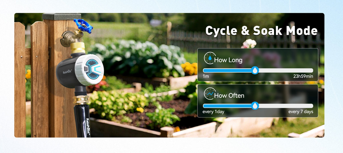 RainPoint programmable hose timer helping automate daily watering routines