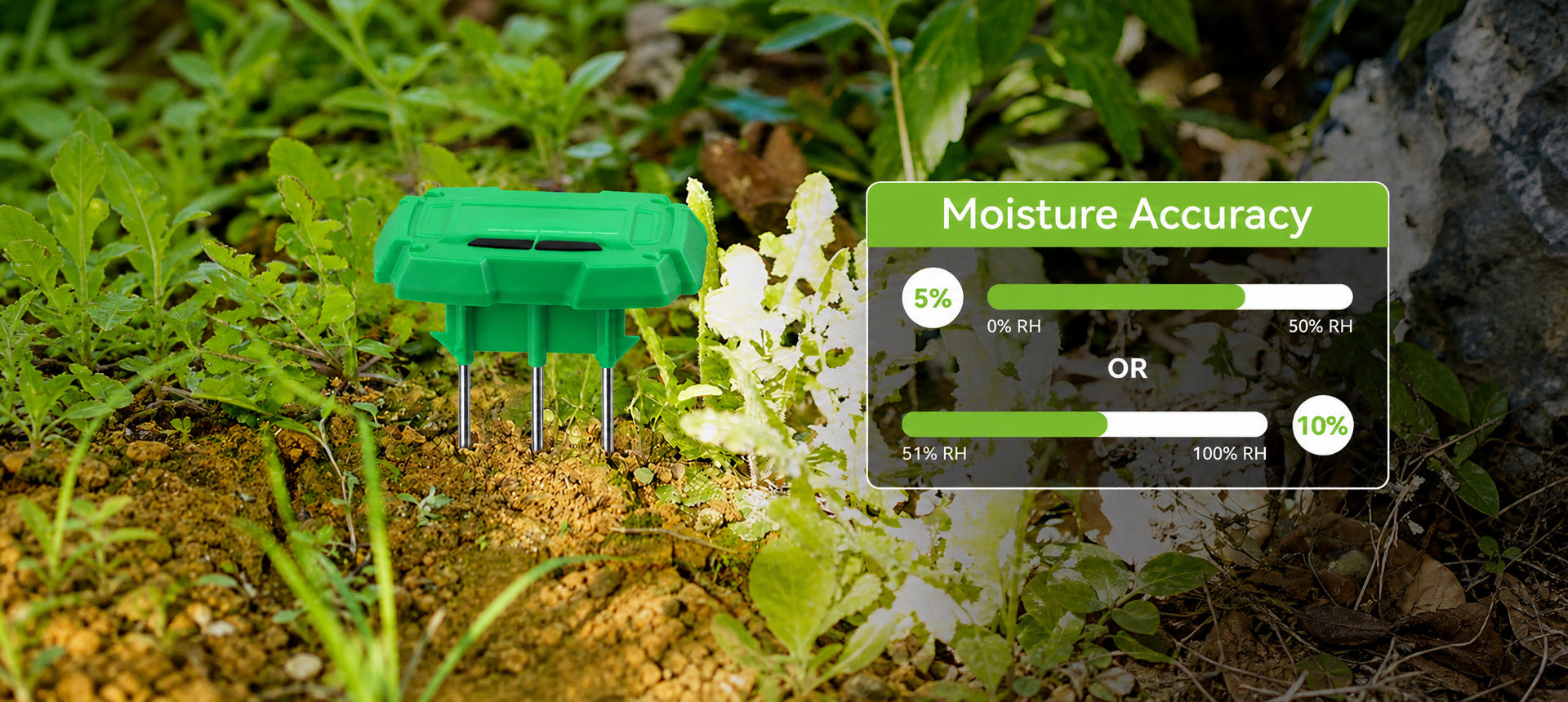 RainPoint wireless soil moisture monitor for precision garden irrigation control