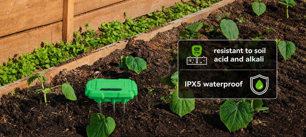 RainPoint smart soil moisture sensor for monitoring garden plant water levels