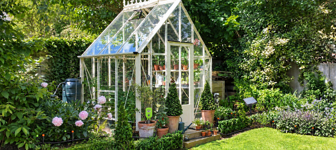 RainPoint solar drip irrigation system watering plants around a backyard greenhouse