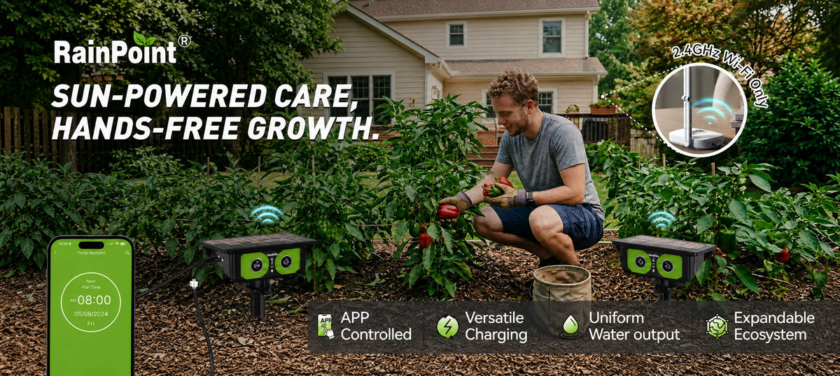 RainPoint WiFi solar drip irrigation system with app control for smart automatic garden watering