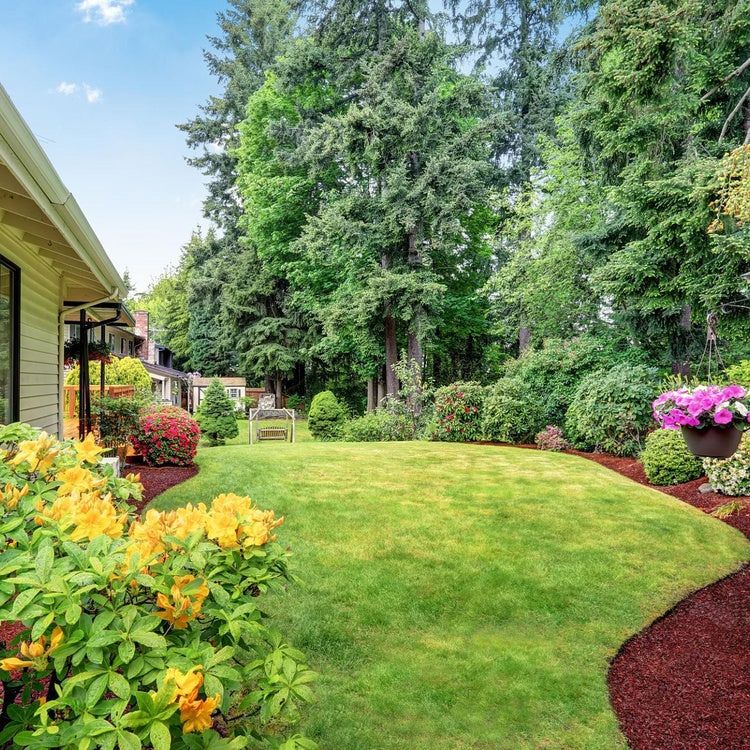 Trees and shrubs in landscape garden with efficient watering and irrigation care